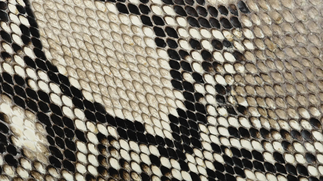 This image captures the intricate pattern of an exotic leather, most likely from a snake or python. The natural scales create a unique texture with a mix of light and dark hues, showcasing the organic beauty of this material.